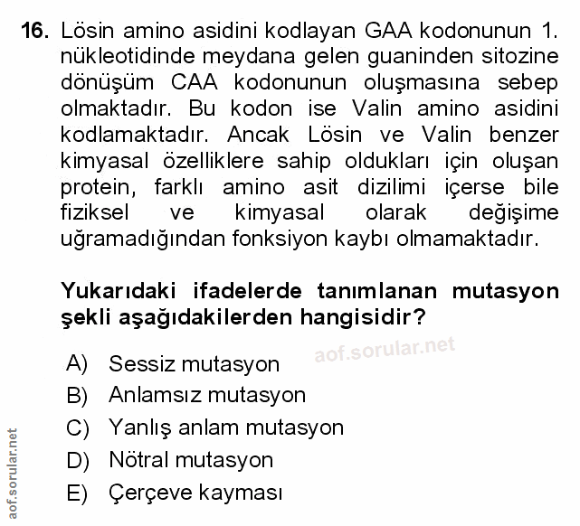 Soru 16
