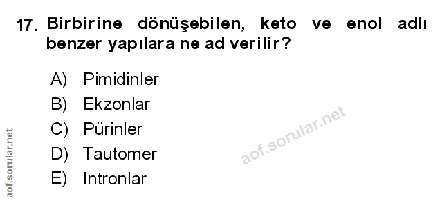 Soru 17