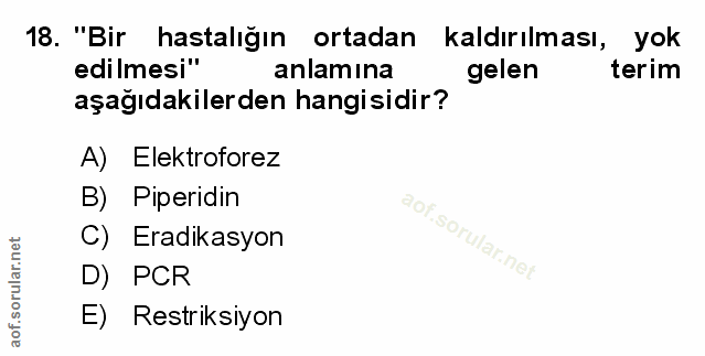 Soru 18