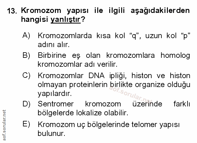 Soru 13
