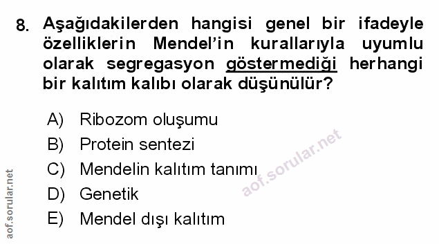 Soru 8