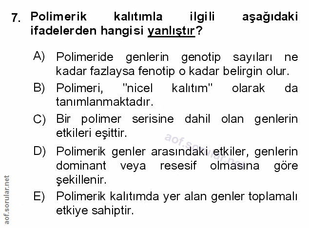 Soru 7