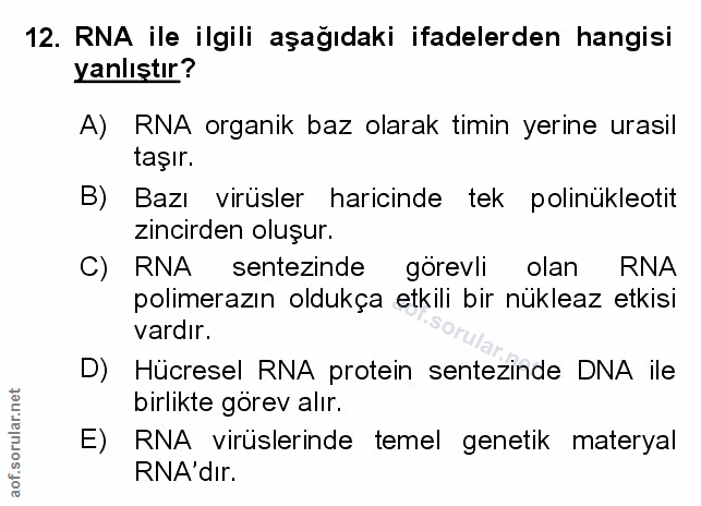 Soru 12