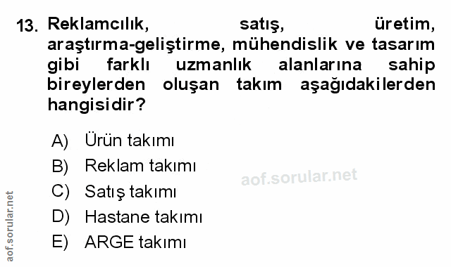 Soru 13