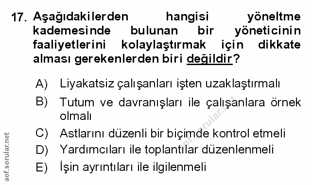 Soru 17