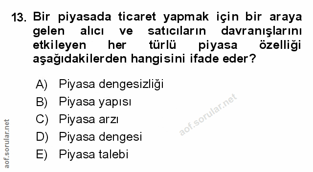 Soru 13