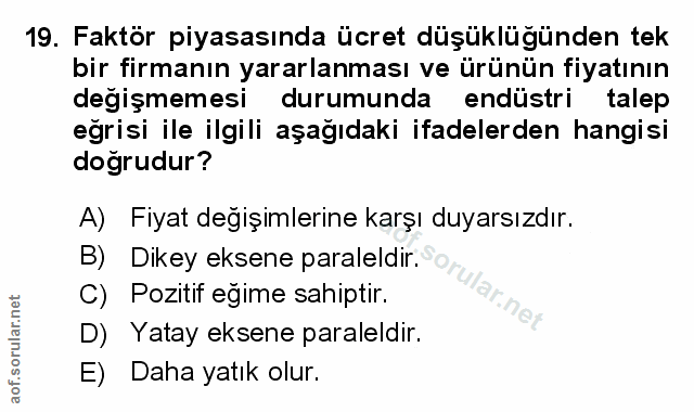 Soru 19