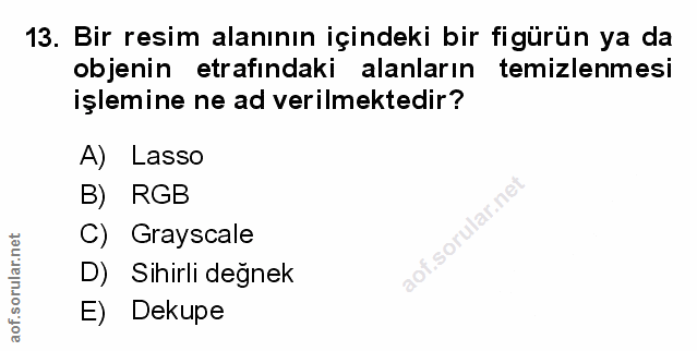 Soru 13