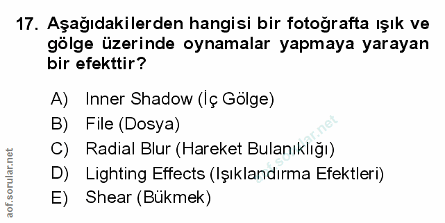 Soru 17