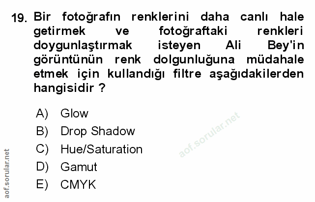 Soru 19