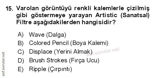 Soru 15