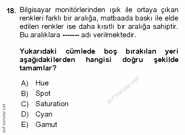Soru 18