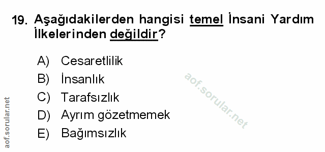 Soru 19