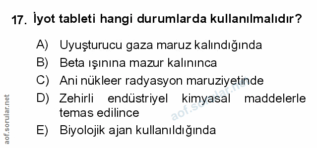 Soru 17