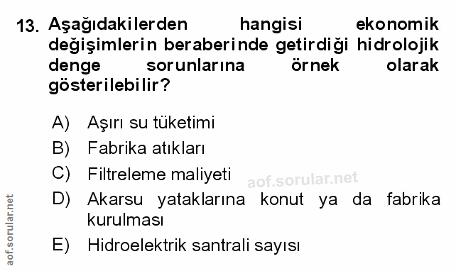 Soru 13