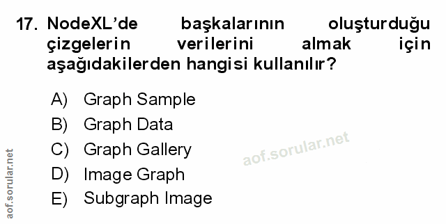 Soru 17