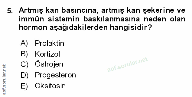 Soru 5