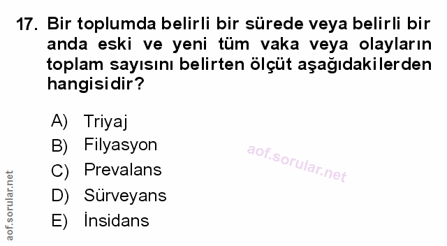 Soru 17