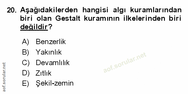 Soru 20