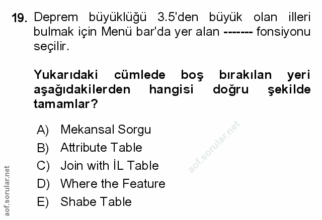 Soru 19
