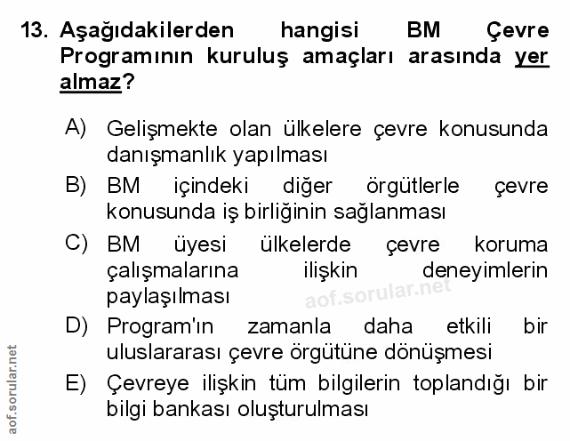 Soru 13