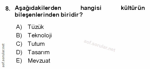 Soru 8