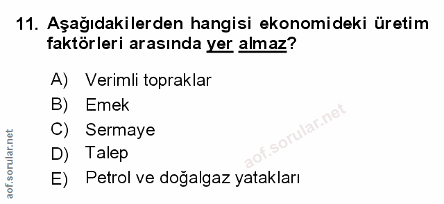 Soru 11