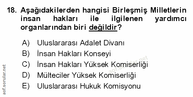 Soru 18