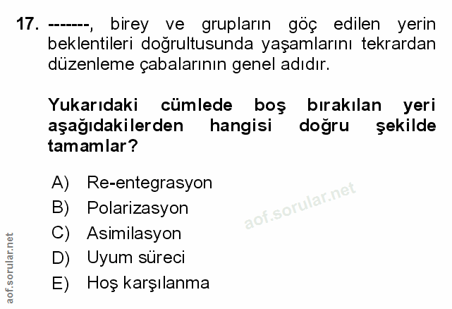 Soru 17