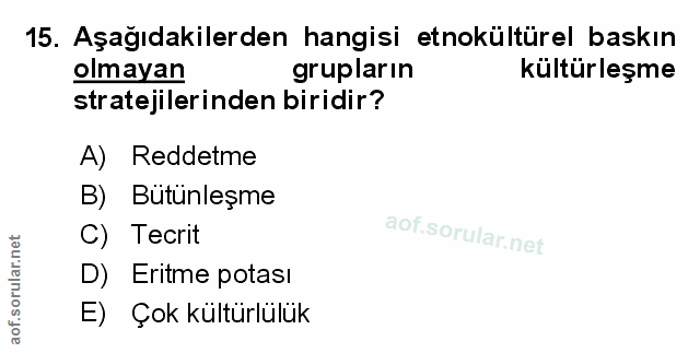 Soru 15