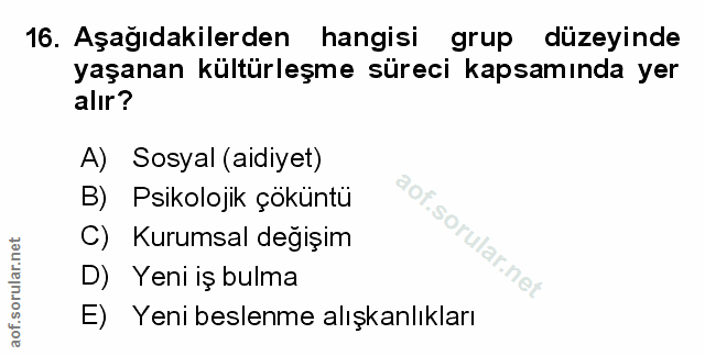Soru 16