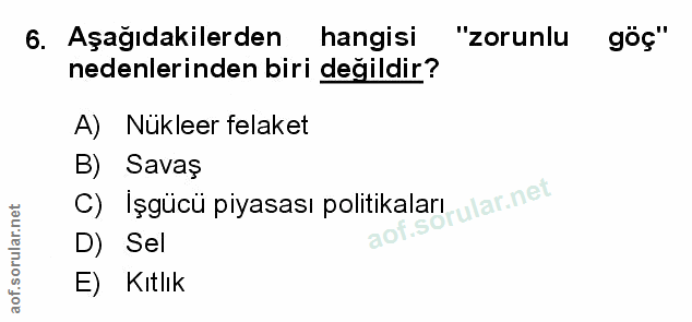 Soru 6