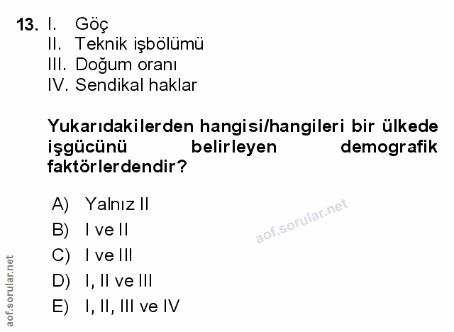 Soru 13
