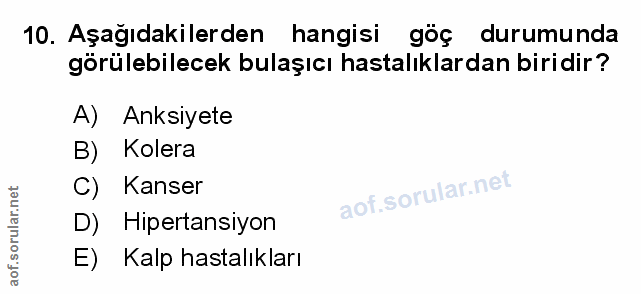 Soru 10