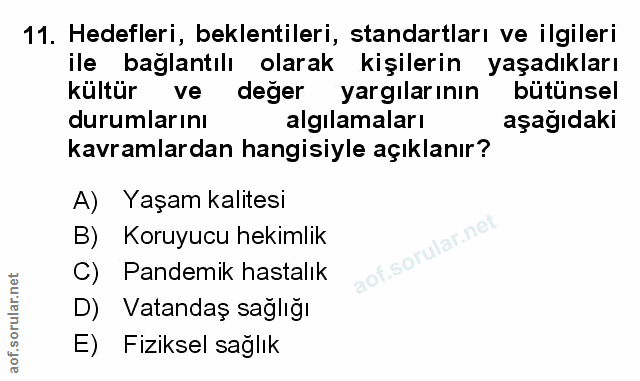 Soru 11