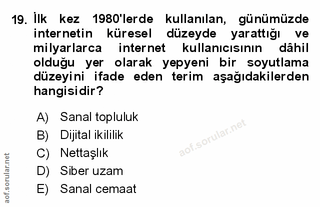 Soru 19