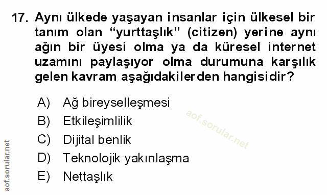 Soru 17