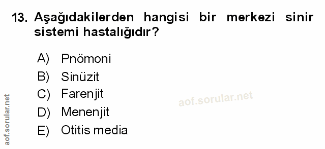 Soru 13