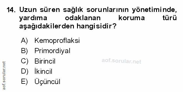 Soru 14