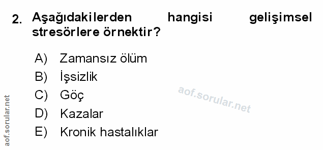 Soru 2