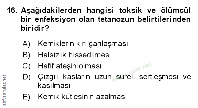 Soru 16
