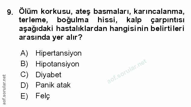 Soru 9