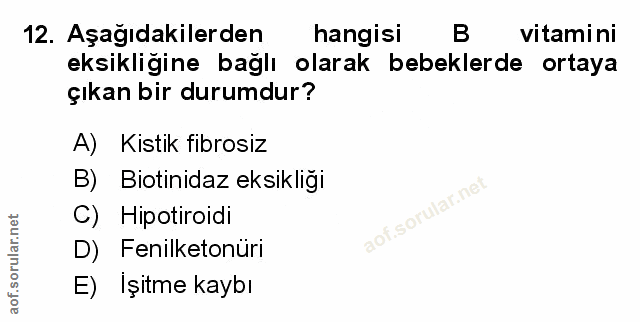 Soru 12