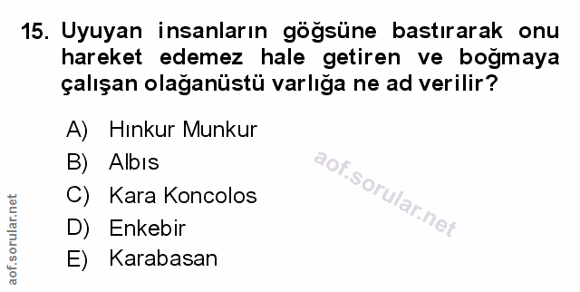 Soru 15