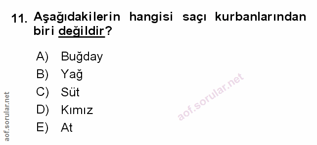 Soru 11