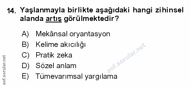 Soru 14
