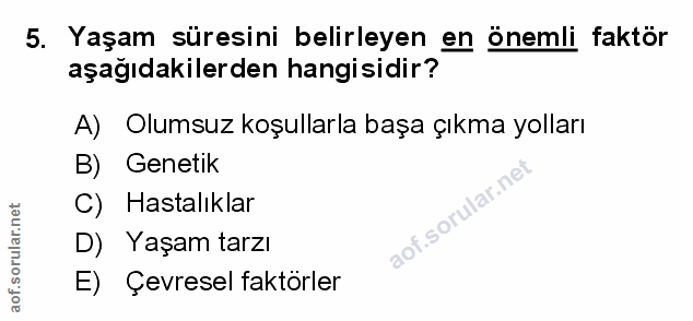 Soru 5