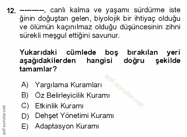 Soru 12