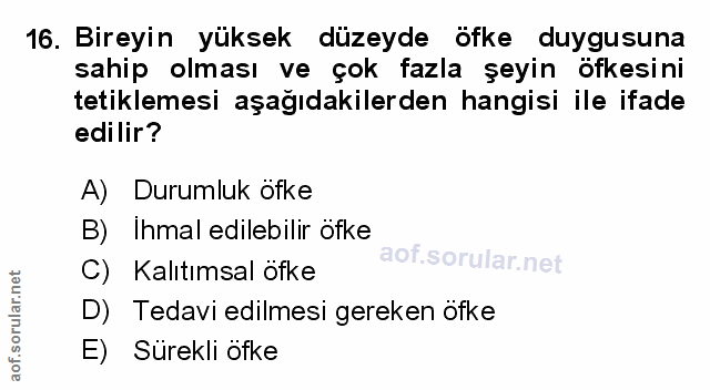 Soru 16
