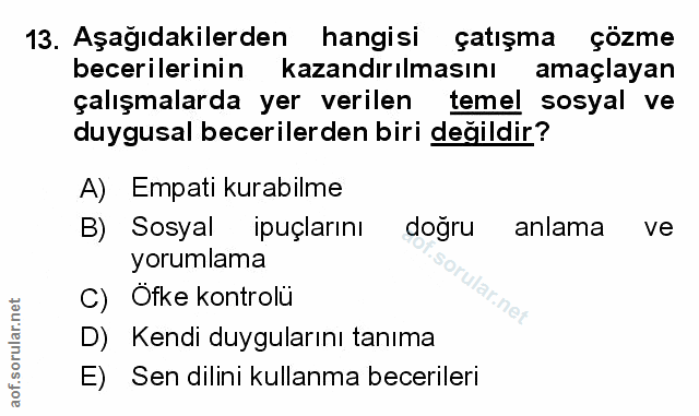 Soru 13